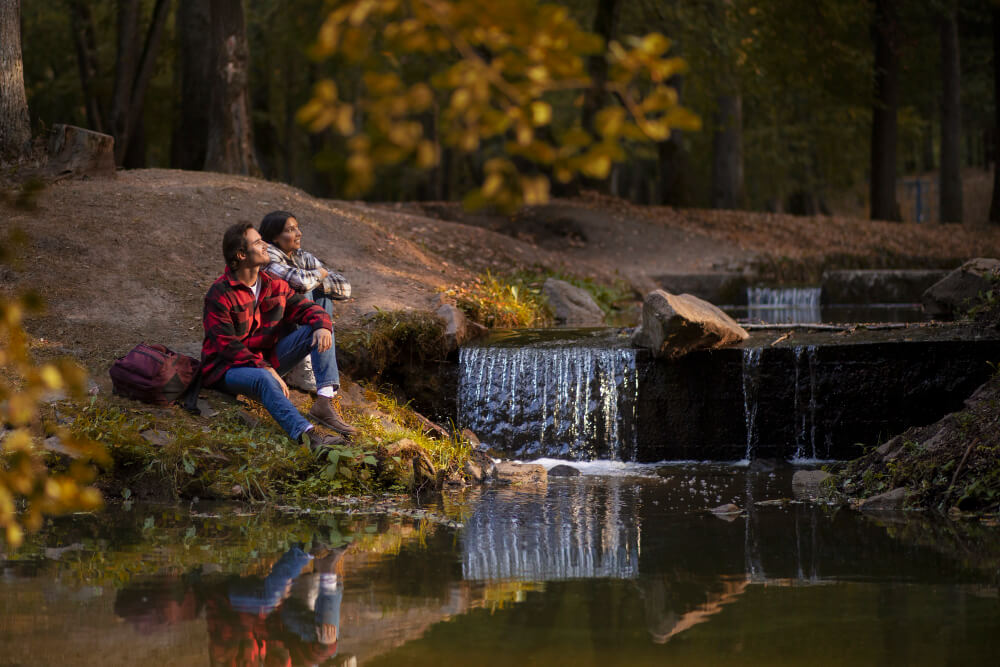 Exploring Montana’s National Parks: Wildlife Watching Adventures