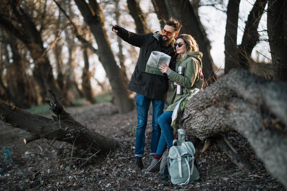 Wildlife Tours in Montana