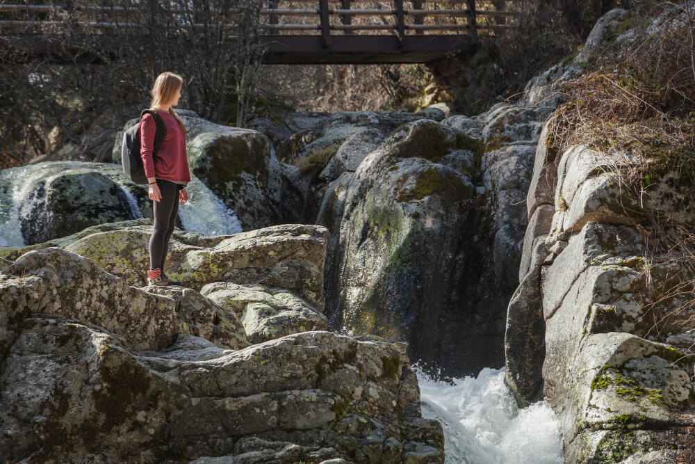 A Season-by-Season Guide to Montana's Wildlife Tours